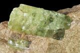 Yellow-Green Fluorapatite Crystal in Calcite - Ontario, Canada #137103-1